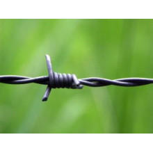 Razor Barbed Wire Mesh Fence-Anping Tianshun Company